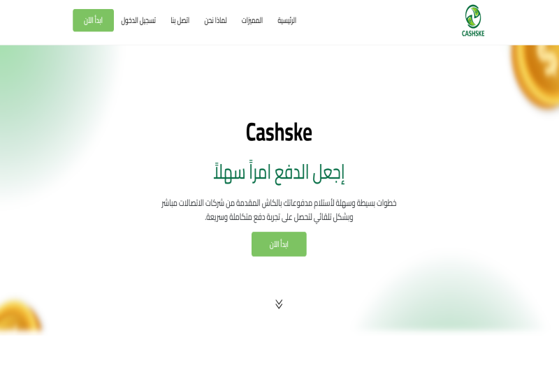 بوابة دفع كاشكي